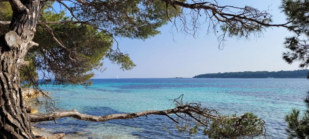 Ferienwohnung Les Grenadines Du Samedi Au Samedi Antibes Exterior foto
